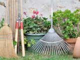 Giardinaggio: 5 attrezzi indispensabili