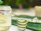 Aloe_Barbadensis_(Aloe_Vera)_e_Aloe_Arborescens__differenze_e_proprietà