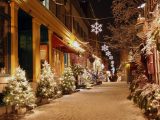 Natale: come decorare il giardino per le feste
