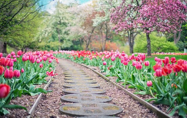 Come scegliere i prodotti Bottos per il tuo giardino