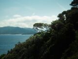 Come arrivare all’Isola d’Elba e gli itinerari più belli