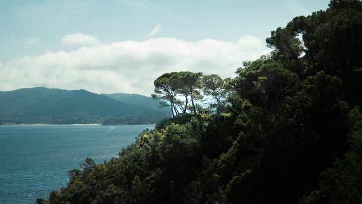 Come arrivare all’Isola d’Elba e gli itinerari più belli